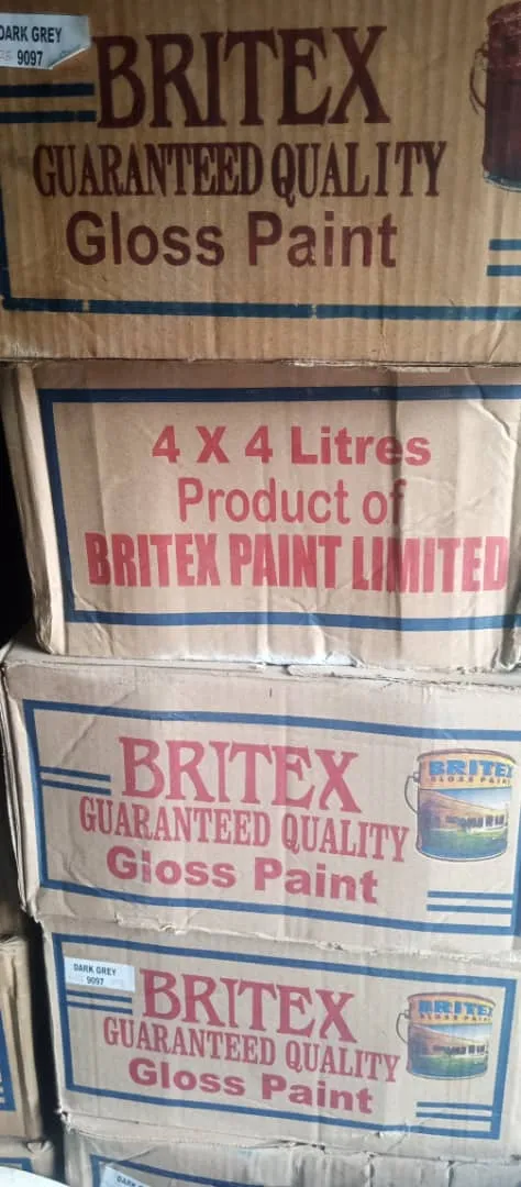 BRITEX GLOSS PAINT