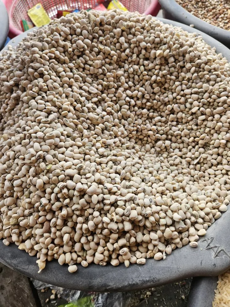 Iron Beans Custard rubber